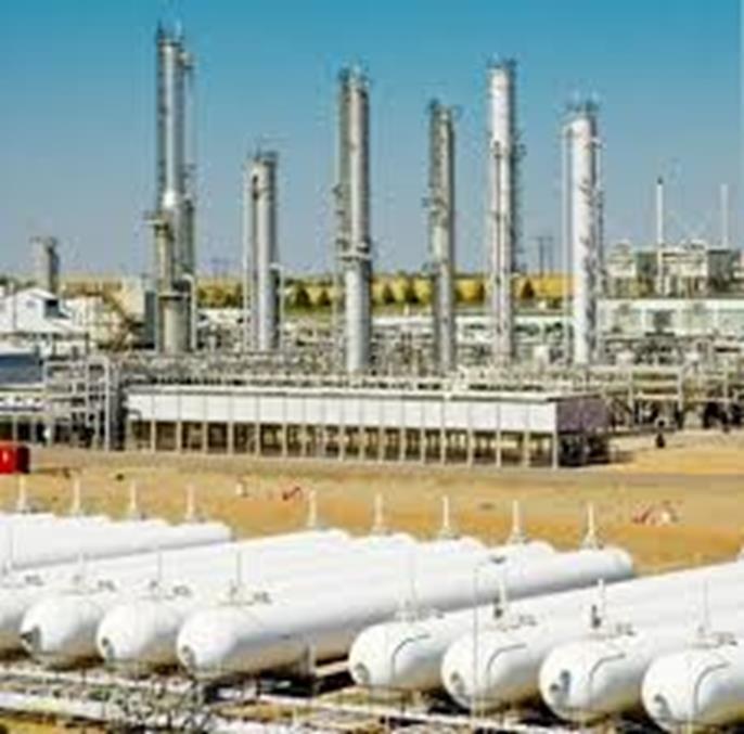 Viper Group Industrial Plant